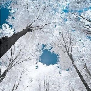 Meet your Posher, Nora